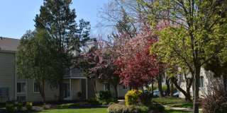 The Village at Voorhees Gallery 37