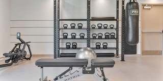 The Kavista Gallery 23