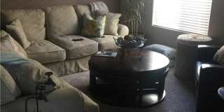 6582 Gertrude Court Gallery 12