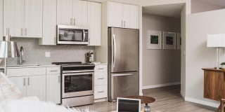 Mondrian on Lake Eola Gallery 12