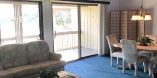 1 Bedroom, 1 Bathroom condo in Grenelefe Gallery 11