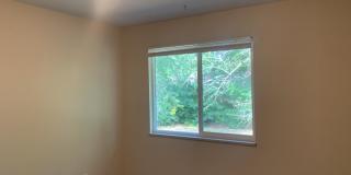 Mid-Town Single Family Home w/ Spacious Fenced Yard Gallery 15