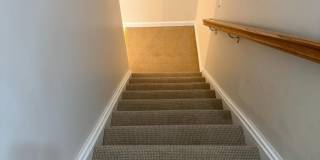 3501 MAJESTIC PINE LN Gallery 24