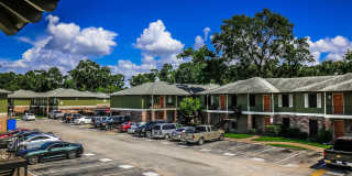 Spring Pine Gallery 24