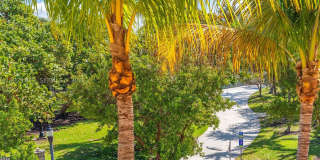 226 Ocean Dr Gallery 41