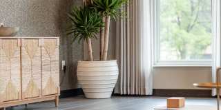 Wren on the Creek Gallery 34