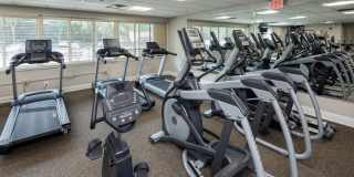 Premier at Cherry Hill Gallery 14