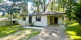 NEWLY RENOVATED! 2 Bed, 1 Bath House for Rent in Brandon! Gallery 1