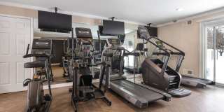 Whethersfield Gallery 8