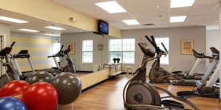 The Springs Gallery 41