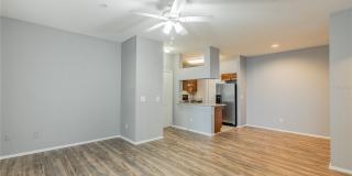 13015 SANCTUARY COVE DRIVE Gallery 5