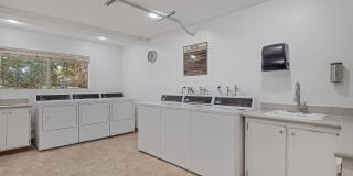 Bon Anza Gallery 13
