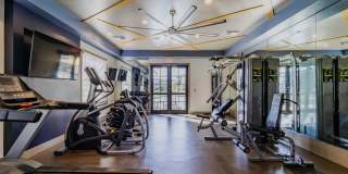 Portofino Vineyards Gallery 6