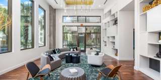 The Mav Gallery 17