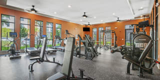 Mirrorton Apartments Gallery 16