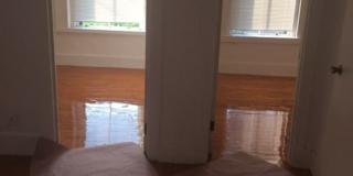 Great Sunny 3 Bed w/ Yard! Gallery 5