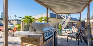 Imperial Palms Gallery 36