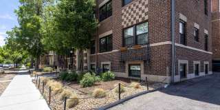 The Norwich Gallery 13