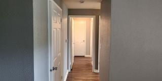 The Hamilton Apartments Gallery 33