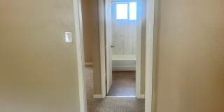 Freshly Updated 3BR Home in Security-Widefield — Available Now! Gallery 13
