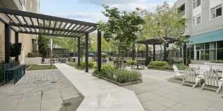 The Daley at Shady Grove Apartments Gallery 14