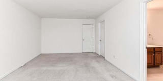 21759 LADYSLIPPER Square Gallery 22