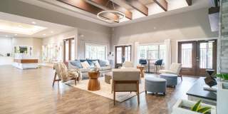 The Palmera Gallery 33