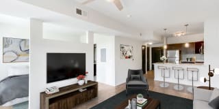 Avana Westside Gallery 6