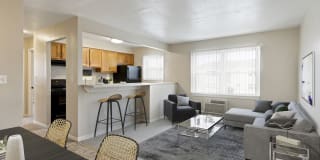 Rose Vista Gallery 2