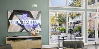 Pointe at Victoria Gallery 11