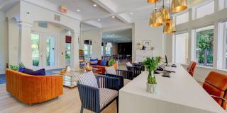 Saratoga Place Gallery 24