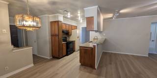 Leon Valley Gem!! Gallery 35