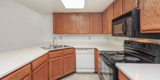 Catalina Crossing Gallery 4