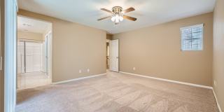 3811 Total Eclipse Street Gallery 13