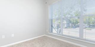 The Village at Town Center Gallery 119