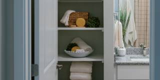 Isla Palmetto Gallery 35