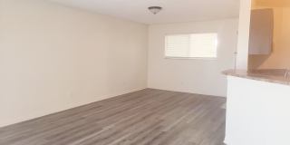 3433 NW 44th St Apt 103 Gallery 5