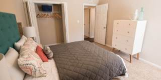 The Edison Apartments Gallery 7