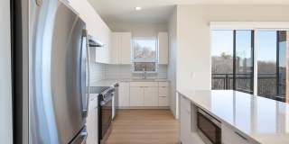 The Basin Gallery 12