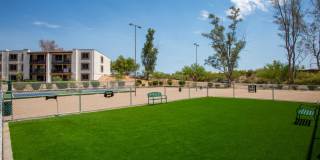 Sunrise Ridge Gallery 21