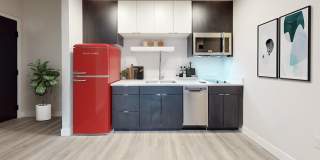 The Roost Gallery 13