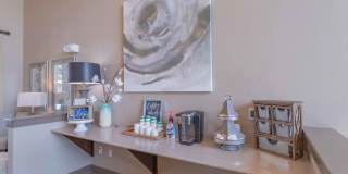 Century Palm Bluff Gallery 6