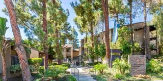 Elán Mesa Lofts Gallery 4