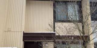 2294 WHITE CORNUS Lane Gallery 1