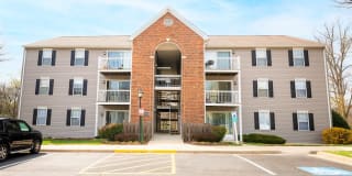 BellaVista Gallery 1