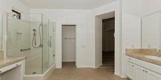 49305 Rio Arenoso Gallery 35