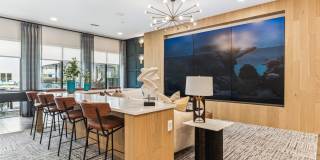 Alta Riverside Gallery 33
