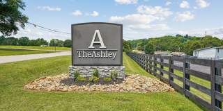 The Ashley Gallery 18