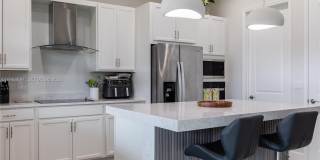 13939 Prickly Cone Cv Gallery 6