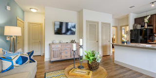 Alvista Round Rock Gallery 39